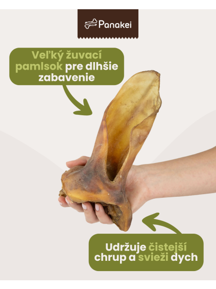 Veľké sušené XXL hovädzie ucho s mäsom Panakei držané vertikálne v ruke s grafickými popismi o dlhšom zabavení a podpore čistejšieho chrupu.