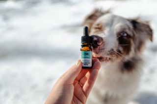 Máme pre vás super novinku pre vašich psích kamarátov 🐶 Predstavujem vám náš nový CBD olej značky Panakei! Je to...