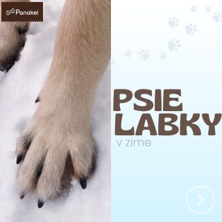 ❄️ Starostlivosť o psie labky je dôležitá v každom počasí 🐾 Aj keď zima dnes už pripomína skôr sezónu na gumáky než na...