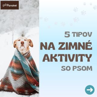 ❄️Neviem, ako u vás, ale konečne tu máme sneh! ❄️ To znamená len jedno, ideálny čas na zimné aktivity 🐾 Pre všetkých...