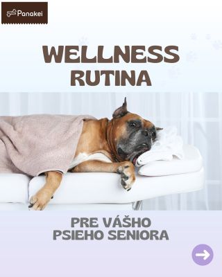 🐾 Január patrí starším psom 🐾 Tento mesiac sme sa rozhodli zamerať na starostlivosť o psích seniorov, preto vám prinášame...