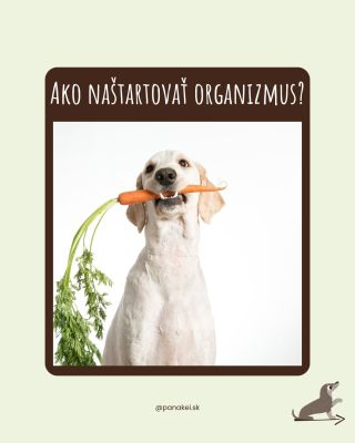 🌿 Jar je .... ževraj tu. I keď sme dnes mnohí vyťahovali zimné bundy ❄️🐶 Zima dá zabrať imunite aj tráveniu - menej...