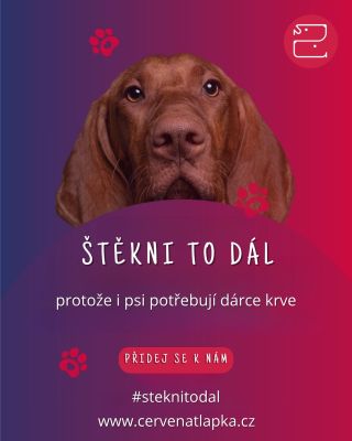 Milí naši zákazníci a zvířecí rodiče, v Panakei věříme, že psi nejsou jen mazlíčci - jsou to parťáci, rodina ❤️ A když jde...